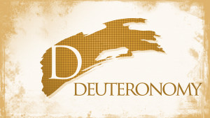 Deuteronomy Chapter 22 Summary