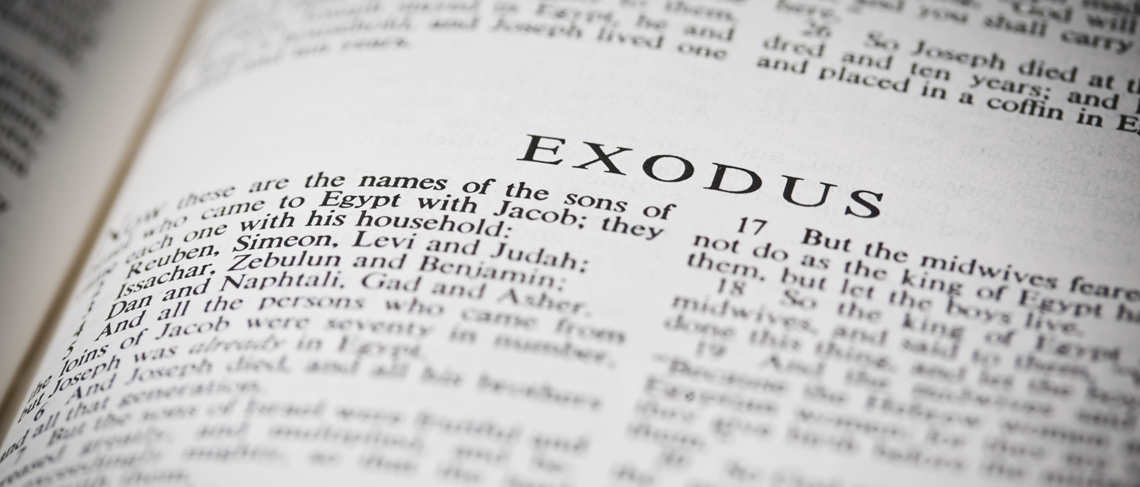 Exodus 6 clearance explained