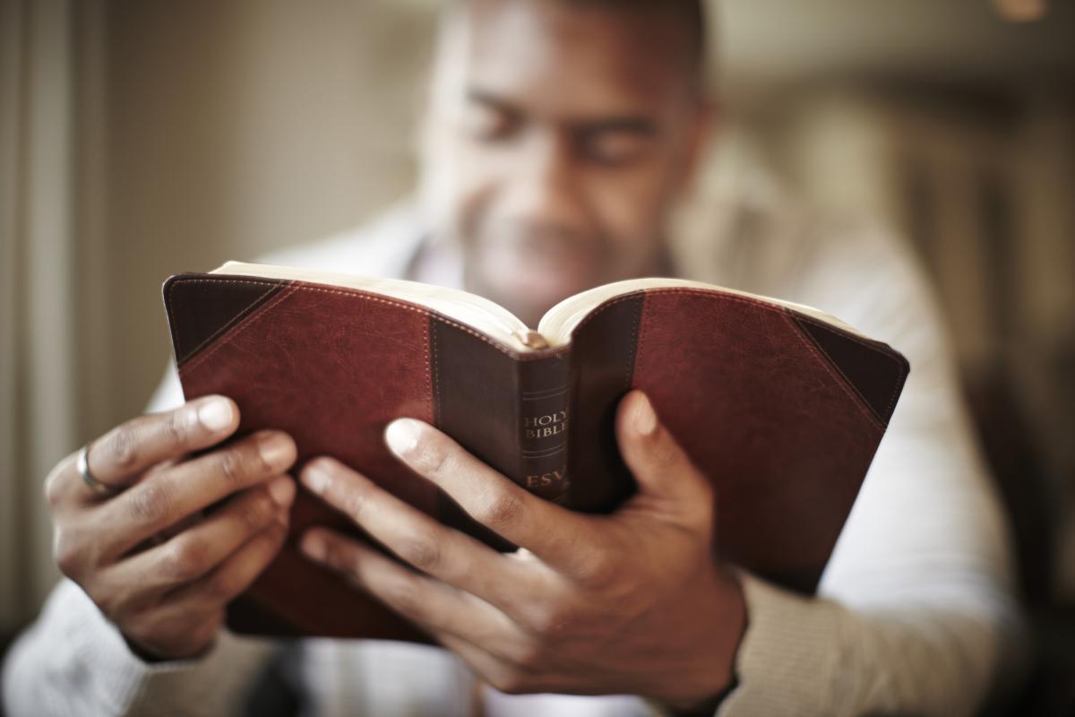 Chapter Summaries 2nd Samuel Chapter 6 Summary Bible Study Ministry