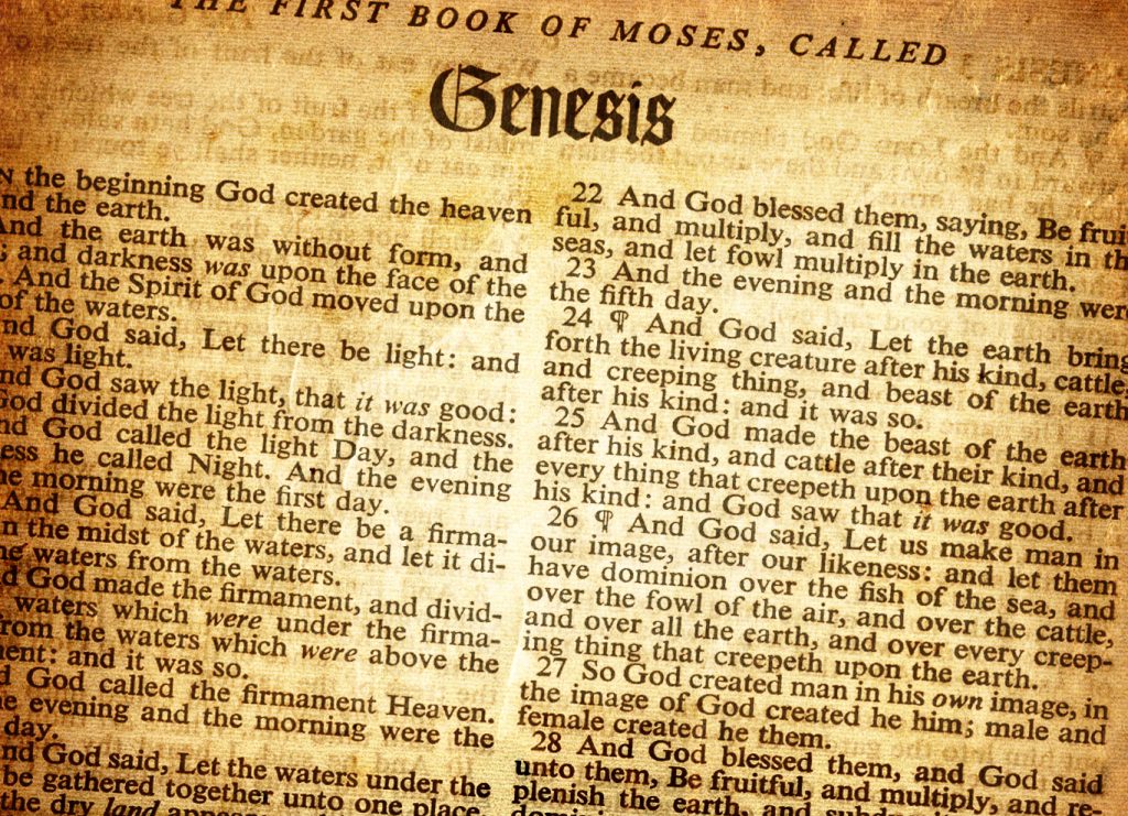 essay about the book of genesis